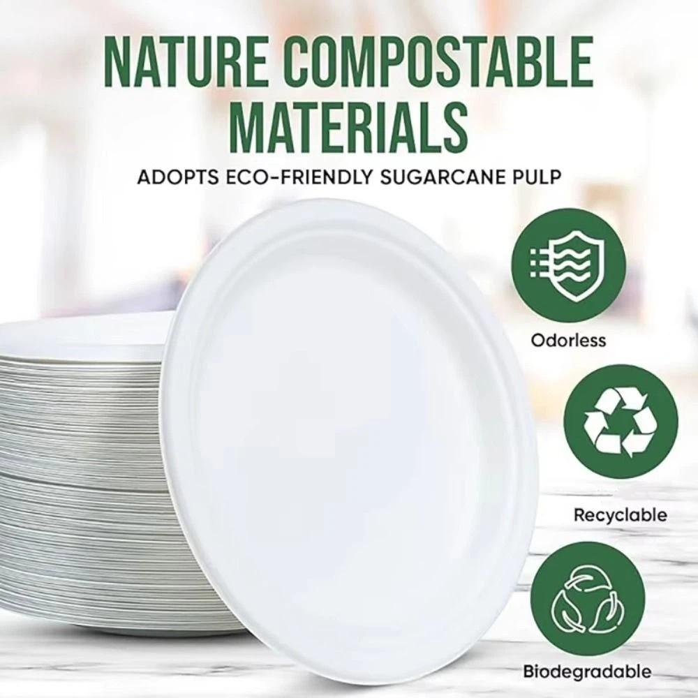 50Pcs Eco-Friendly Disposable Tableware Heat Resistant Wedding Serving Tray Pulp Lunch Boxes Picnic