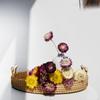 Wabi-sabi Dried Flower Arrangement: Reed, Pine Cones, Cotton, Wheat, Poppy Bouquet