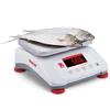 Bilancia VALOR 4000 con omologazione per cucina ristorazione impermeabile IP68 LED 15Kg 5g OHAUS V41PWE15TM