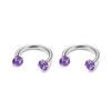2Pcs 6/8/10/12mm Stainless Steel Zircon Piercings Earrings Horseshoe Ring Piercing Nose Ear Belly Rings Body Jewelry For Women
