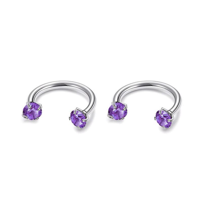 2Pcs 6/8/10/12mm Stainless Steel Zircon Piercings Earrings Horseshoe Ring Piercing Nose Ear Belly Rings Body Jewelry For Women