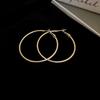 Silver Needle Autumn and Winter Metal Earrings Earrings Niche Fashion Cold Wind Earrings Versatile Light Luxury Premium Earrings