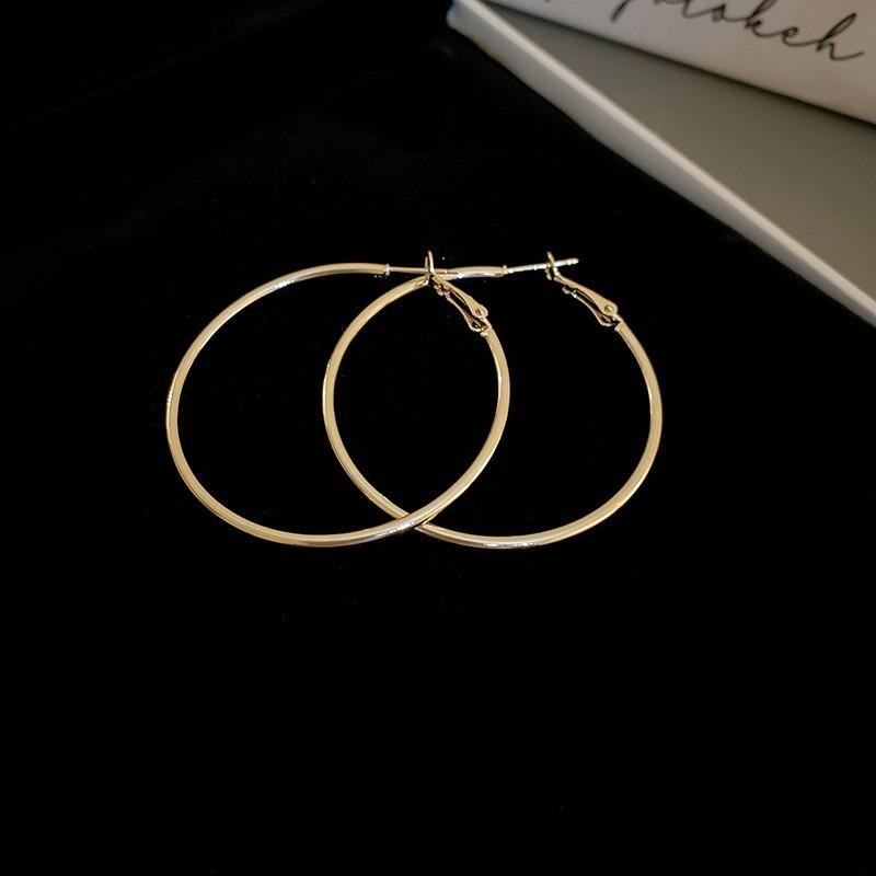 Silver Needle Autumn and Winter Metal Earrings Earrings Niche Fashion Cold Wind Earrings Versatile Light Luxury Premium Earrings