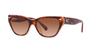 Sunglasses HC8370F CH660 PINK PINK GRADIENT Lens 56 [Coach] TORTOISE/TRANSPARENT Frame/BROWN