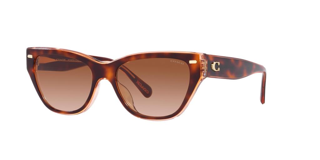 Sunglasses HC8370F CH660 PINK PINK GRADIENT Lens 56 [Coach] TORTOISE/TRANSPARENT Frame/BROWN