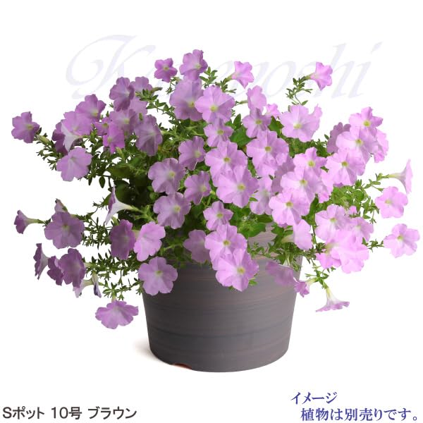 KANEYOSHI Ceramic Flower Size Made In Japan with Reliable Domestic Quality Mikawa-yaki Pot, S-Pot, Brown, 10,