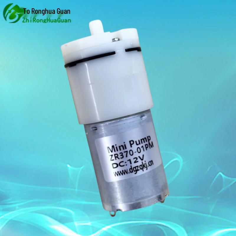 Mikro-Luftpumpe ZR370-01PM: Kompakte 370 Mikro-Aufblaspumpe