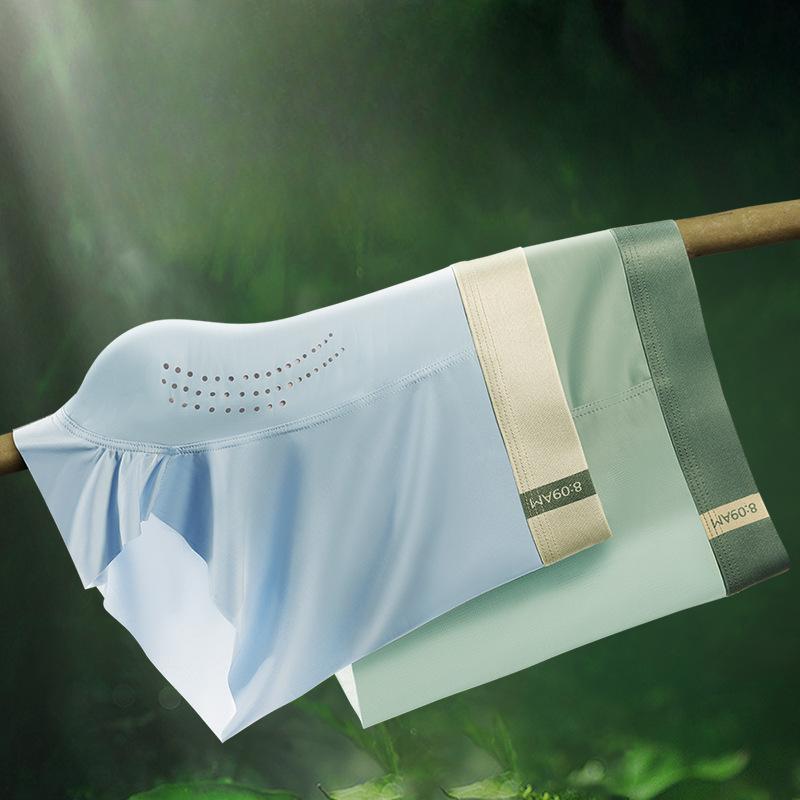 Ice Silk Herren Unterwäsche Atmungsaktive Sexy Boxershorts 5A Antibakterielle Herrenhöschen Nahtlose männliche Boxer Unterhose