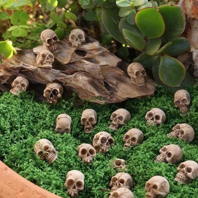 Accesorii de petrecere – Accesorii de Halloween