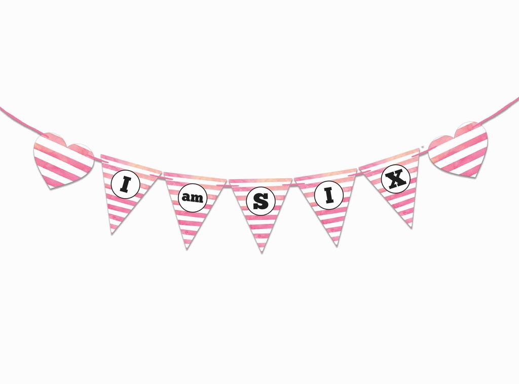Inkdotpot Birthday Party Decorations Happy Birthday Party Garland Baby Girls Polka Dot Pennant Banner