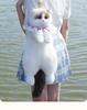 White Super Cute Trendy And Fashionable Cat bags plush Cat Backpack Pure Handmade Simulation Cat Shopping Bag Birthday Gifts Bag