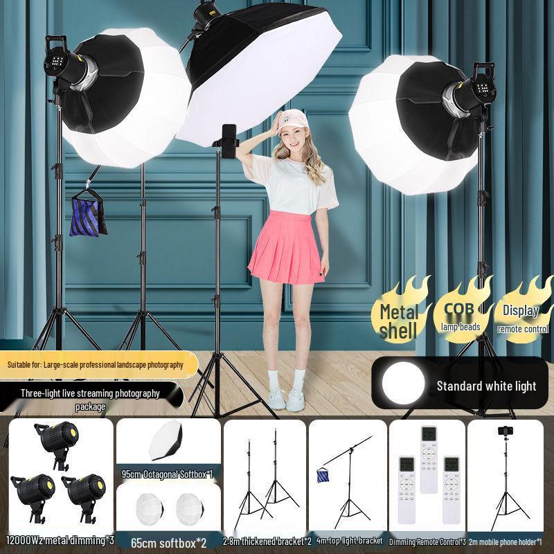 Zheyu Bright Spherical Fill Light for Indoor Live Streaming and Photography