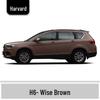 Haval H6 Cool Dog Touch-Up Pen, Black Spot & Ruixue White Scratch Repair Paint