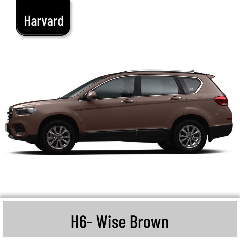 Haval H6 Cool Dog Touch-Up Pen, Black Spot & Ruixue White Scratch Repair Paint