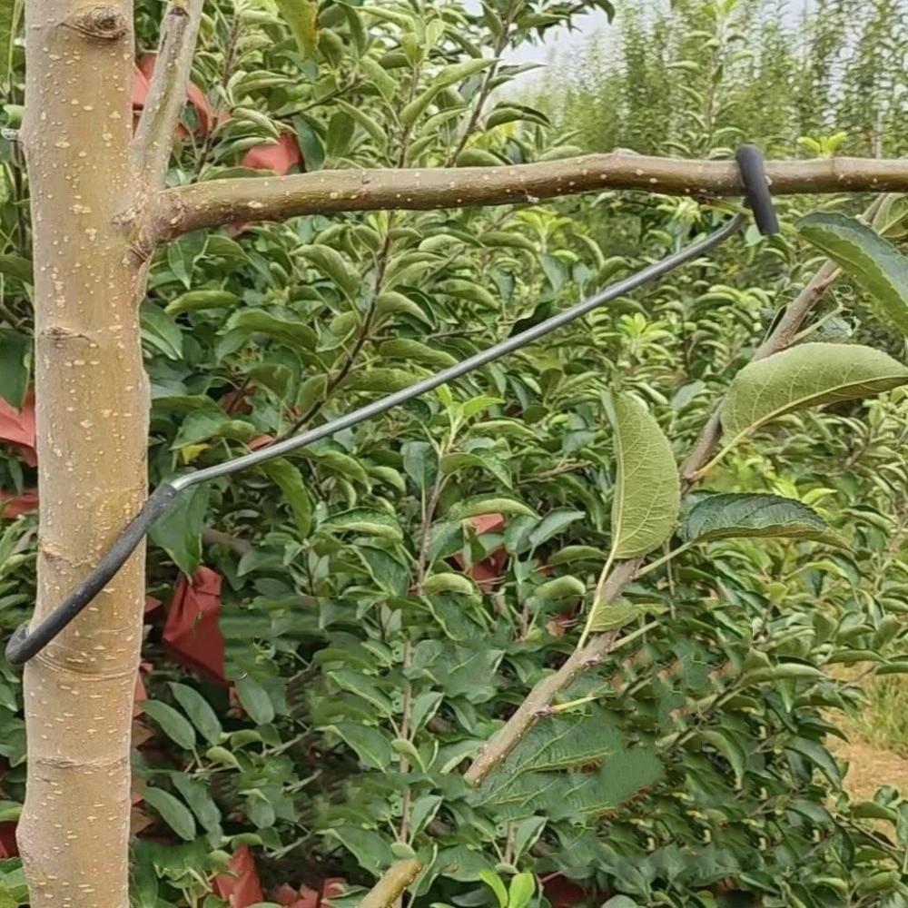 10Pcs Anti-Slip Metal Limb Spreaders High-Strength with Protective Sleeve Branch Bending Clips Plant Support Tool Strong