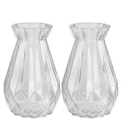 Set of 2 Glass Vases
