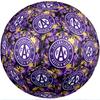 Austria Wien FC Size 5 Standard Football Durable Training Match Soccer Ball for Adult Outdoor Sports