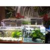 Filter Cotton Fish Tank High Density Purification Hand-torn Cashmere Cotton Thickened Fish Tank Circulation Filter Material