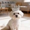 Pet Crown Headband Cats Dogs - Princess Style Hair Accessory In Gold Rose Plastic