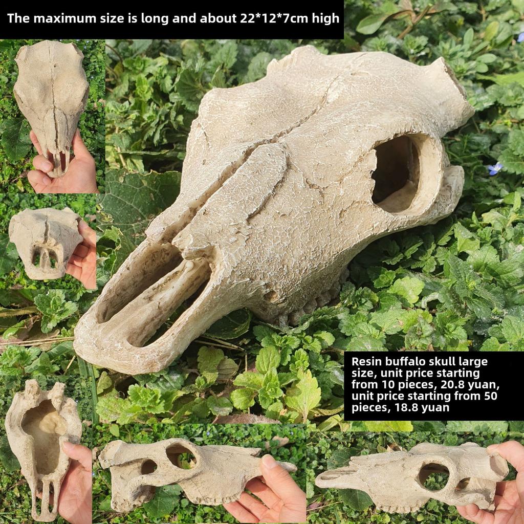 Akril Hüllőtenyésztő Doboz Dekoratív Koponyával