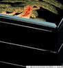 Jubako Hinode Pine X X Made In Japan J-kitchens 3-Tier 8-inch (Stacked Box), Houtoku, Design, 24.2cm 24.2cm 19.5cm,