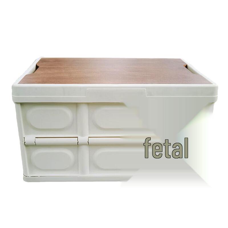 Tri-polar TP2004 Foldable Camping Storage Box