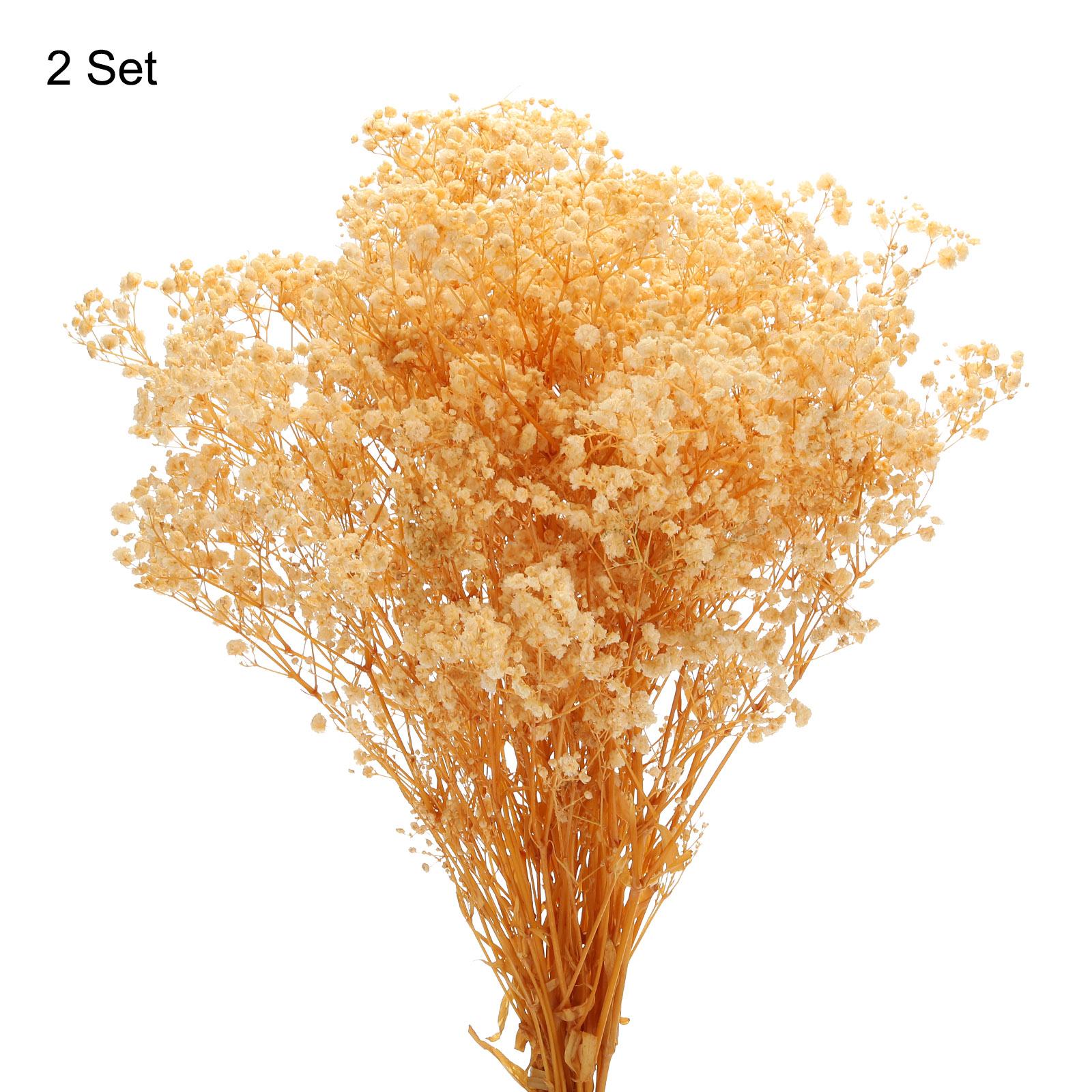 

2 шт. Сушеные цветы гипсофилы 17 дюймов Натуральные ветки гипсофилы для свадебной вечеринки Домашнее украшение светло-желтого