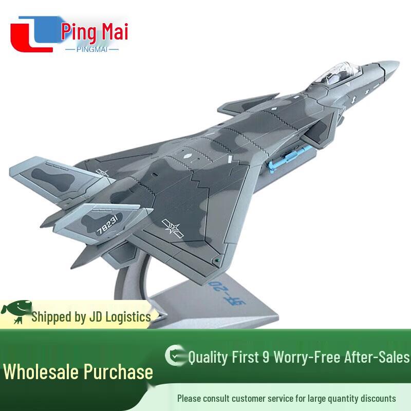 J-20 Fighter Jet Model 1:100 Scale