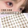 SIDIT - Natural Crisscross Colored Cluster False Eyelashes