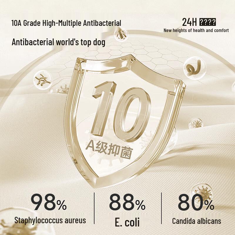 Tingmei Women's High-Waist Lace Seamless Briefs (3-Pack)