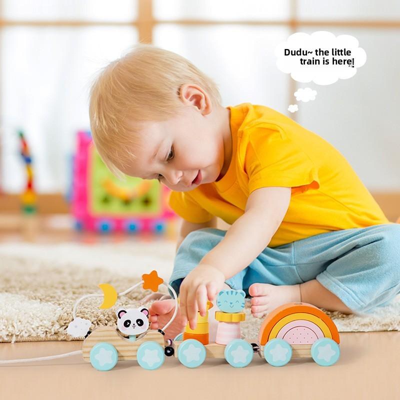 Wooden Animal Cat Panda Toy Train With Interlocking Carriages For Baby Development And Kids Play