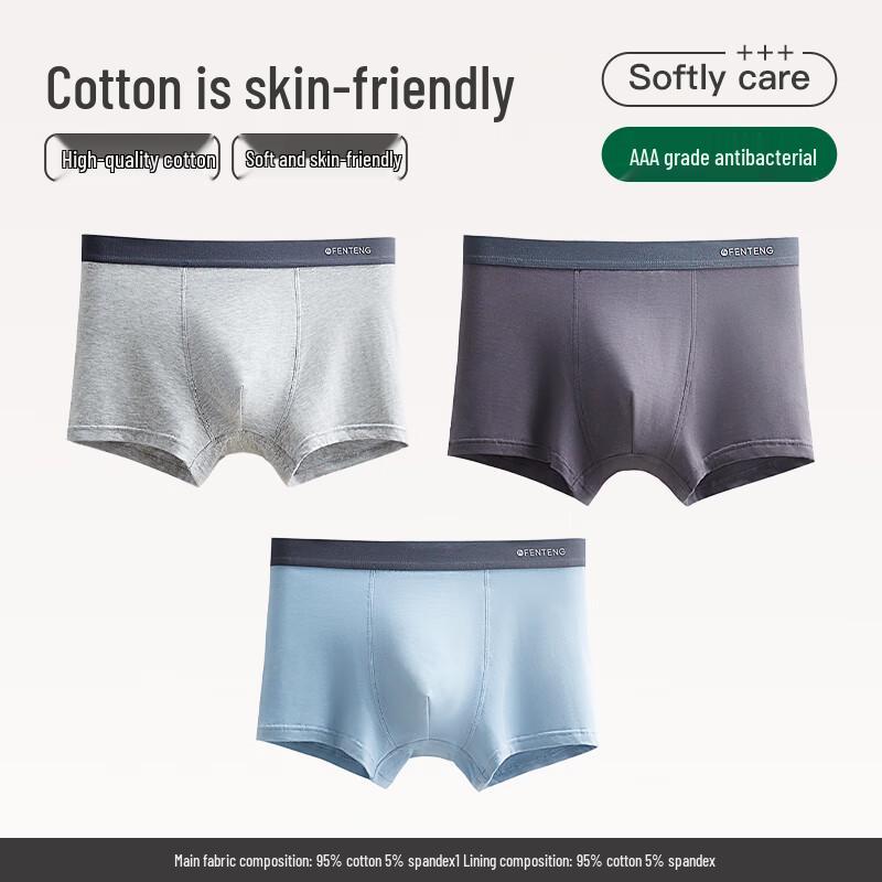 Fenteng Men's 2025 Spring/Autumn Pure Cotton Antibacterial Boxer Briefs