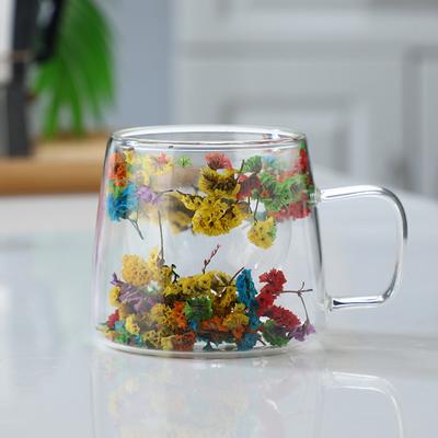 200ML Double Walled Glass Cups with Real Dried Flowers Heat Resistant Clear Coffee Mugs