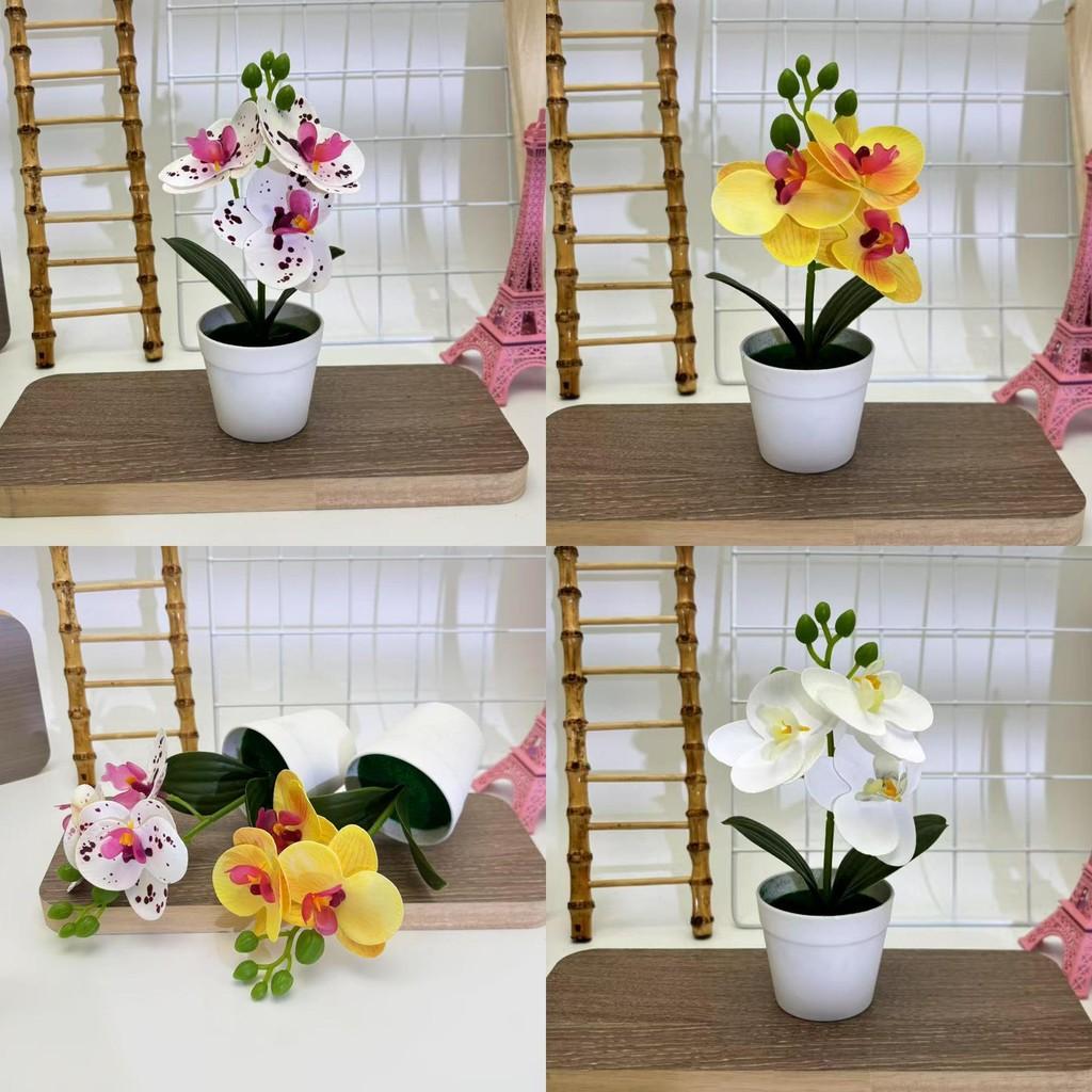 Botanical Phalaenopsis Faux Fake Flower Props For Bridal Events And Party Decor