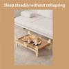 Moisture-proof Cat Scratcher Bed Breathable Cat Sleeping Bed Practical Dog Bed Chairs  Indoor
