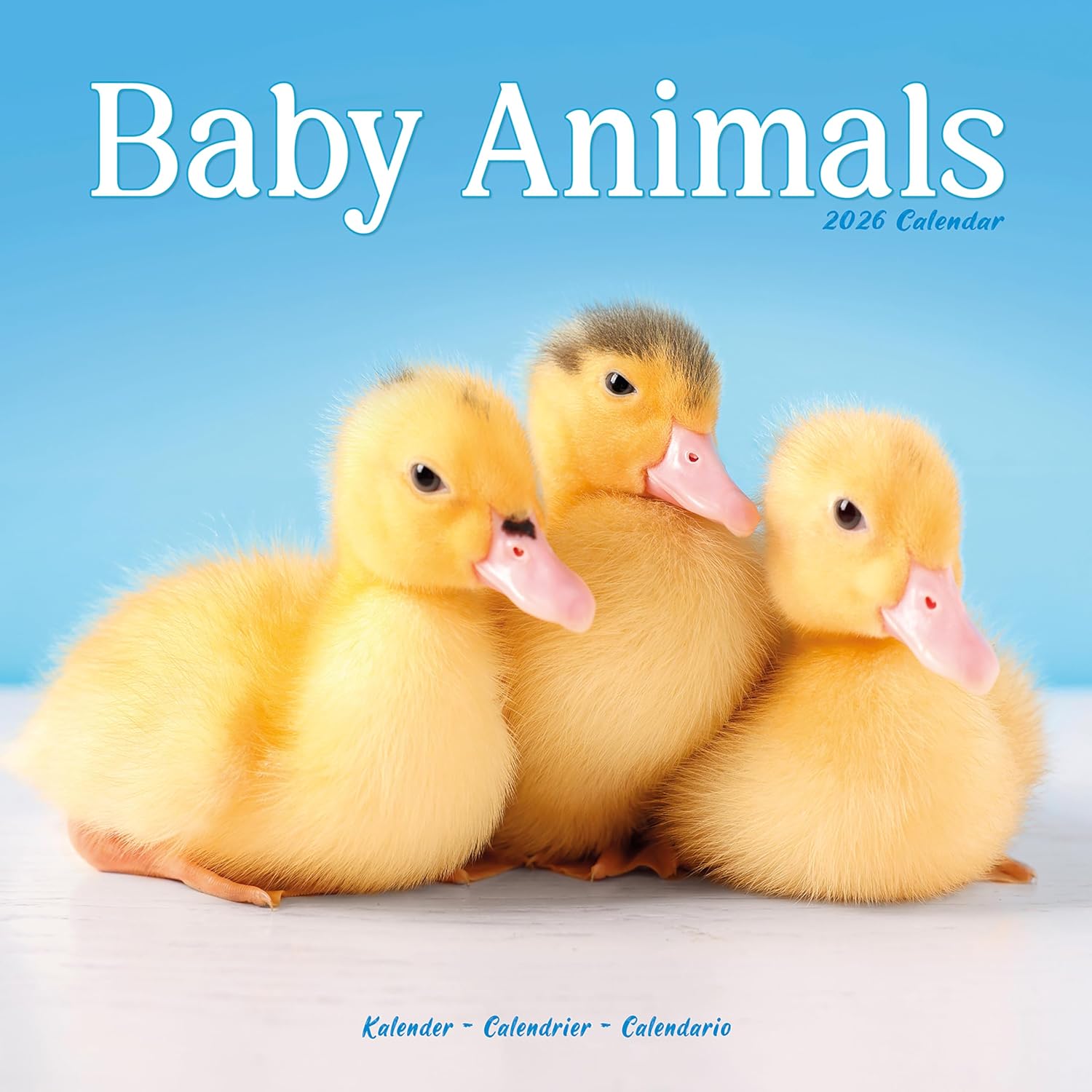 Baby Animals Calendar 2026 | 12 Month Wall Calendar | Avonside Publishing | Plastic Free Packaging