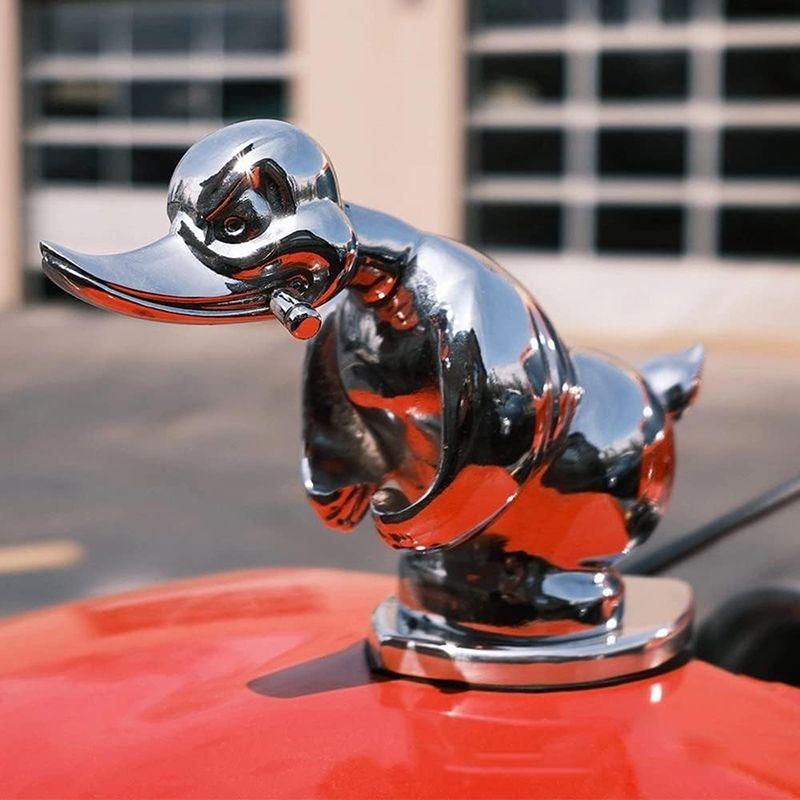 Rață supărată pe capotă