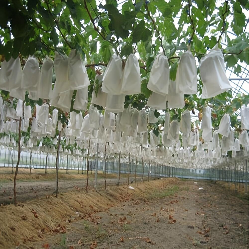 100pcs Mesh Fruit Protection Bag - Durable Non-woven Fabric Covered - Perfect for Vineyard and Home Garden Planting, Plant Protection Cover