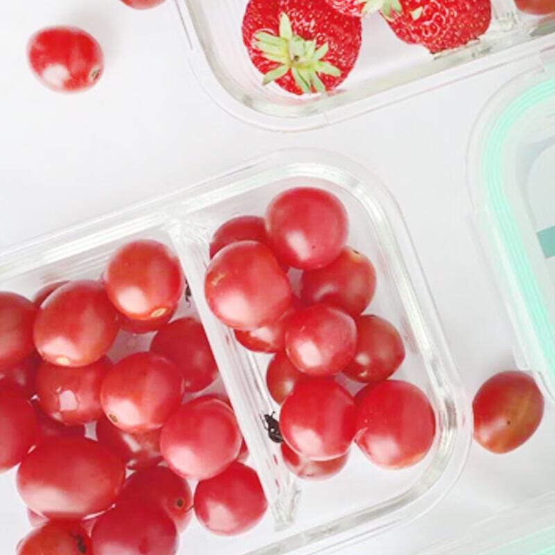 Corning EKCO Portable Glass Food Container