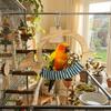 Hanging Bird Training Stand Wooden Interactive Bird Toy Parrot Play Rack  Avian Activities