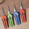 Garden Stainless Steel Flower Scissors Pruning Fruit Pruning Grape Pruning Straight Head Gardening Scissors Prun Flowers