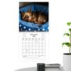 Dog Calendar 2026 Animal Art 12 Monthly Planning Planner 2026 Wall Calendar 12 Month for Bedroom Living Room Kitchen Classroom