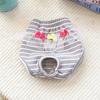 Protecting Female Dogs Physiological Pants for Small Dogs Stripe Pet Underpants with Lace Pomeranian Yorkshire Safety Shorts
