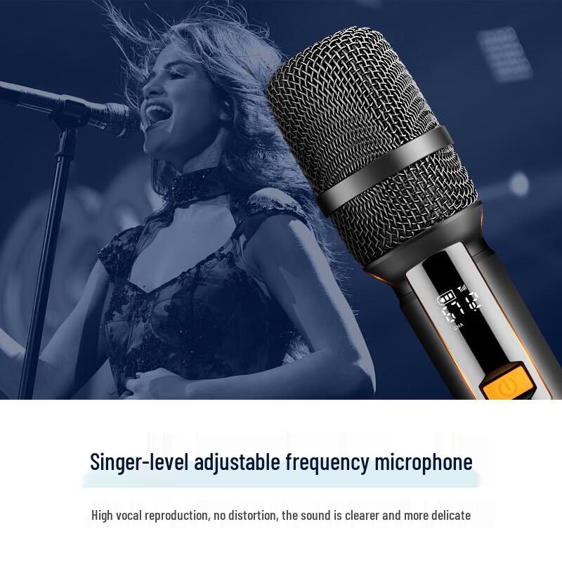 SAST Portable Outdoor Karaoke Speaker with Display & Microphone CN Plug (adapter Included) (CN Version)