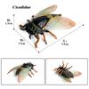Oenux New Insect Animals Model Butterfly Bee Dragonfly Mantis Ant Snail Action Figures Jouet Collection Decor Kids Education Toy