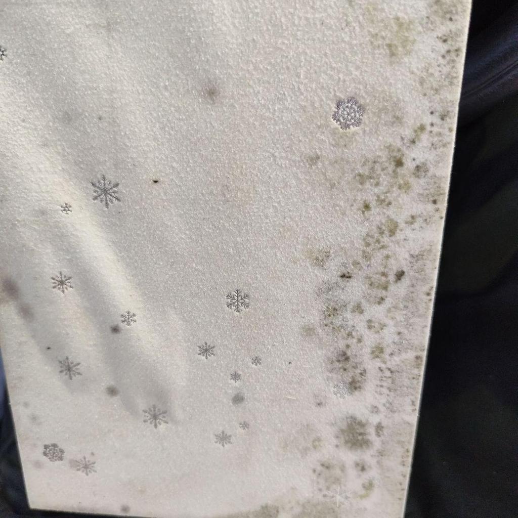 [USED] DVD Winter Sonata Korean KBS Uncut Complete Edition