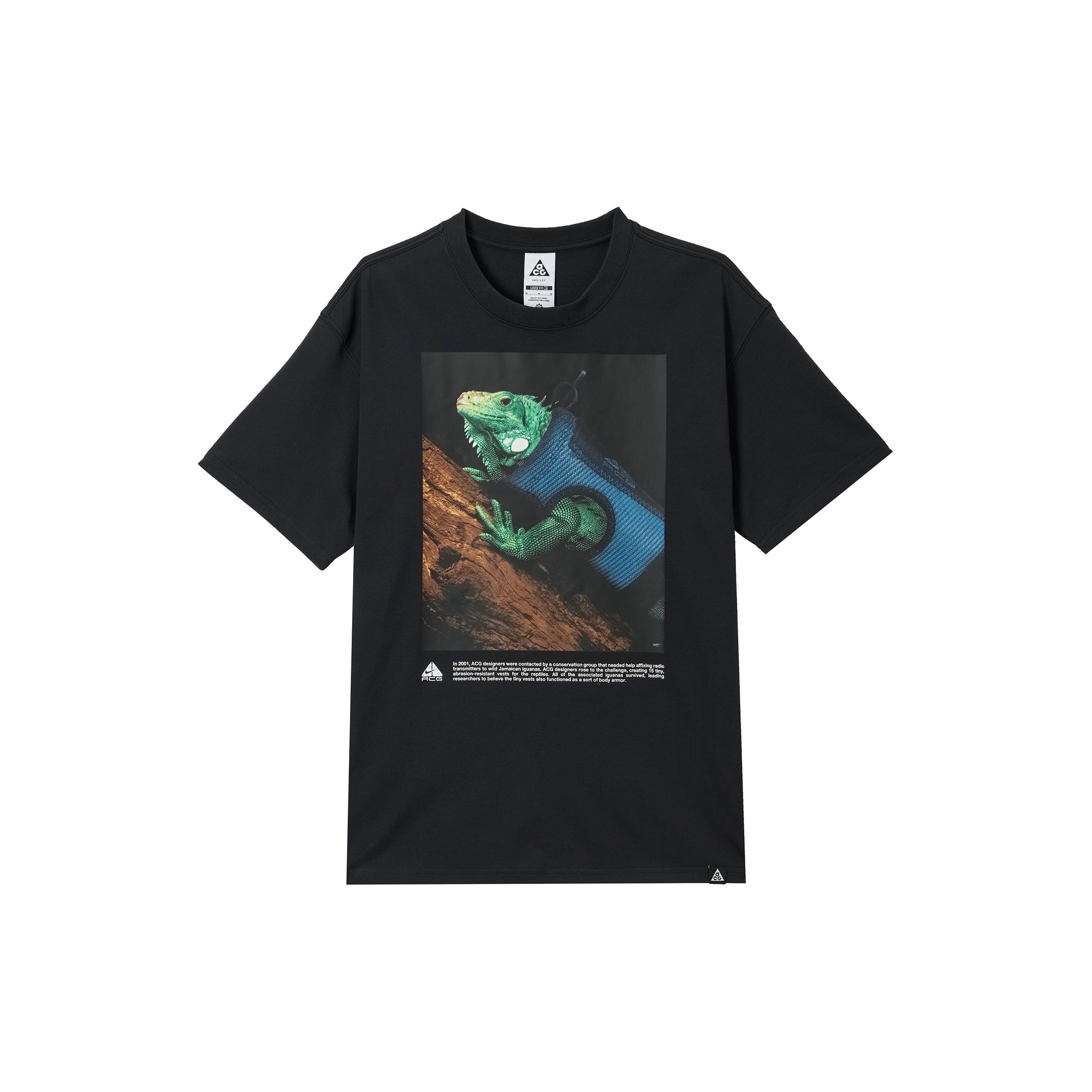 Футболка Nike Acg Iguana HJ0890-010 M