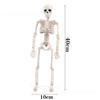 Human Skeleton Party Dressing Terrifying Appearance Simulation Plastic Home Decoration Halloween Interesting Decorative Props