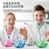 Children'S Educational Science Experiment Handmade Diy Crystal Seed Christmas Tree Growth Chemical Planting Crystal Toy