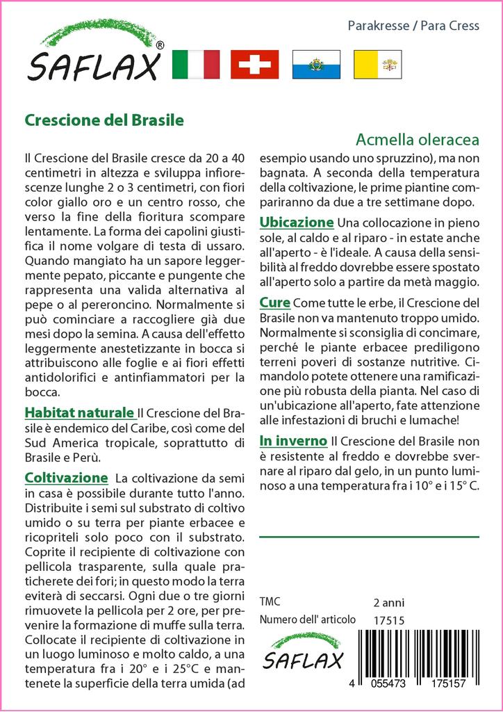 SAFLAX Dárková sada - Para Cress - 500 semen - S dárkovou krabičkou, kartou, štítkem a substrátem pro zalévání - Acmella oleracea